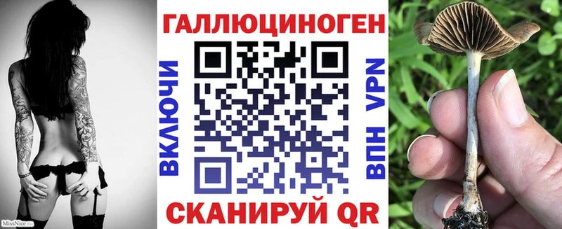 Псилоцибиновые грибы мицелий Зима
