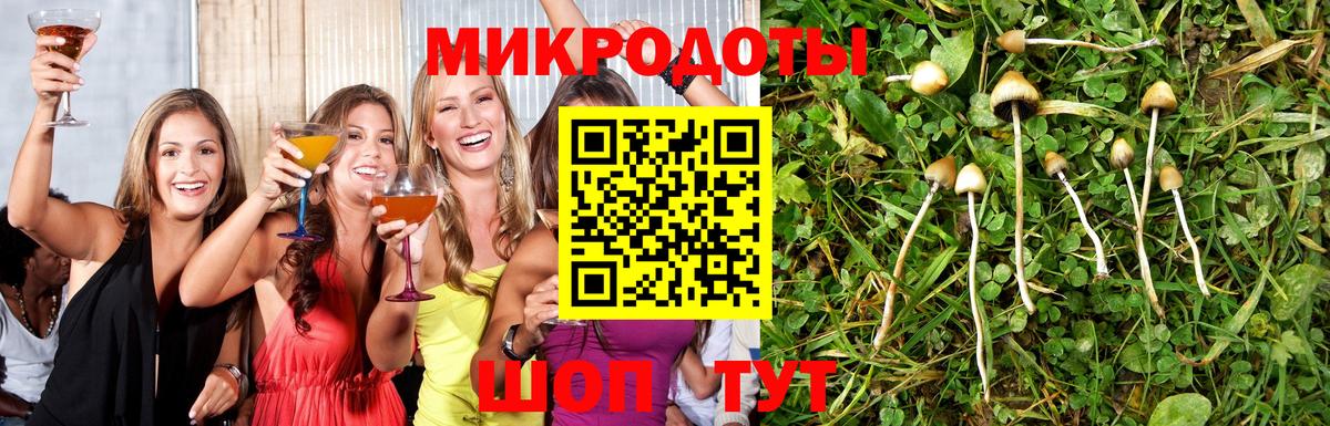 МЕТАДОН Зима